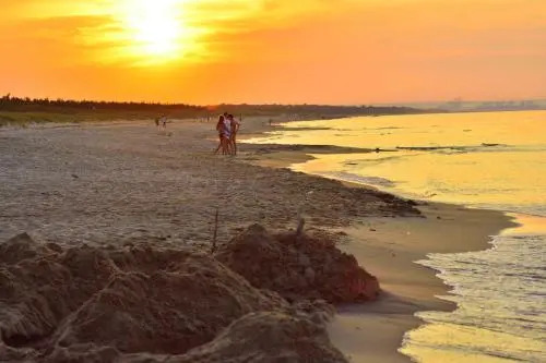 Bajkowa Plaża - Amber