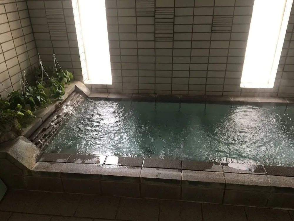 Mt Fuji B&B PENSION LE LAGON