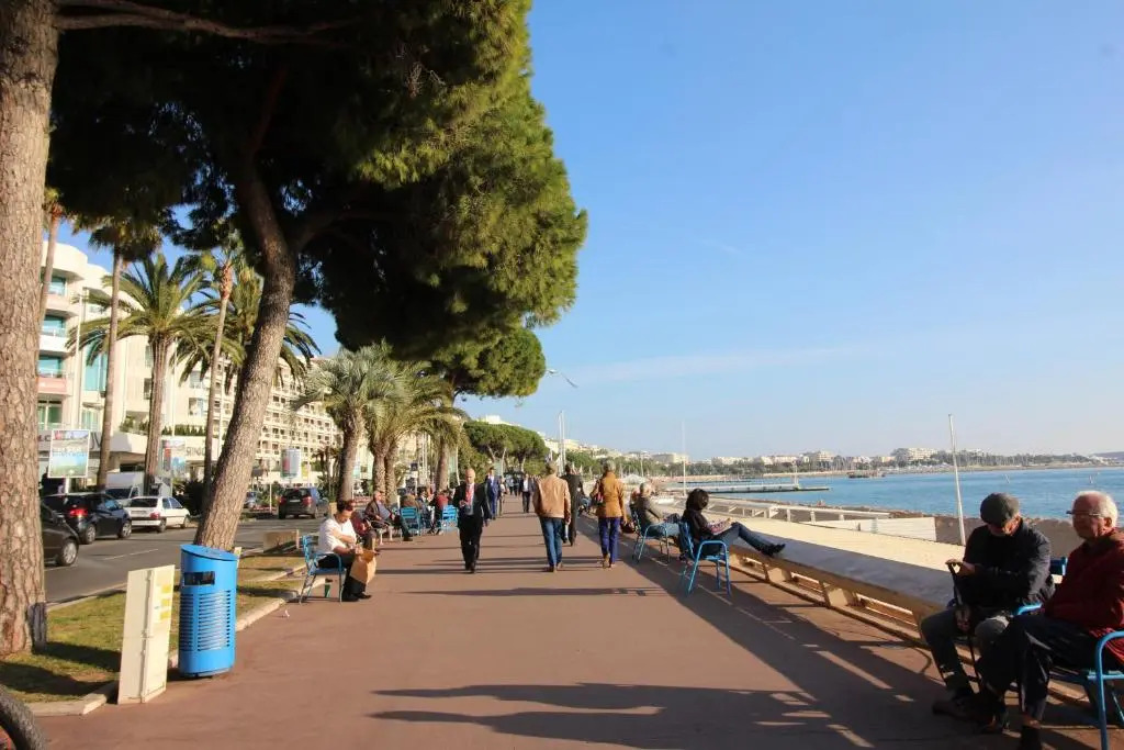 Cannes Conseil Immo - Appartement moderne à 250 m du Palais des festivals et des Plages