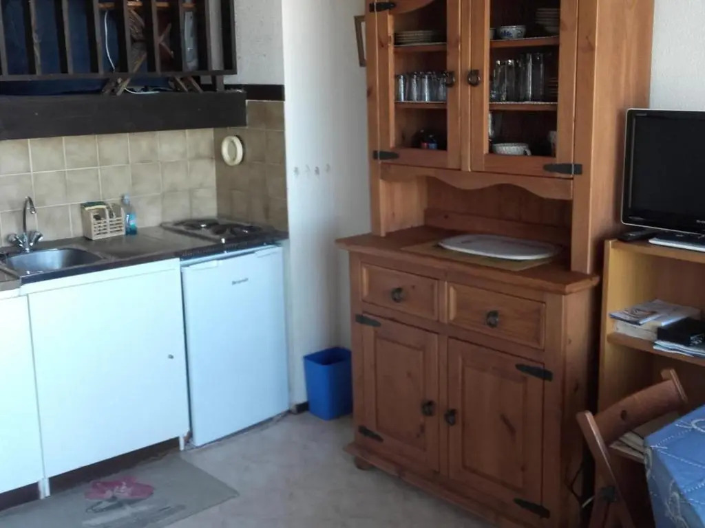 Appartement Arcachon, 1 pièce, 4 personnes - FR-1-319-71