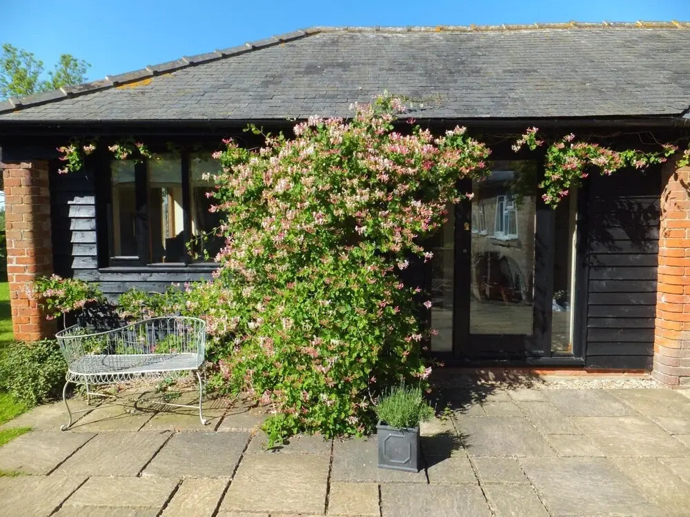The Old Farmhouse