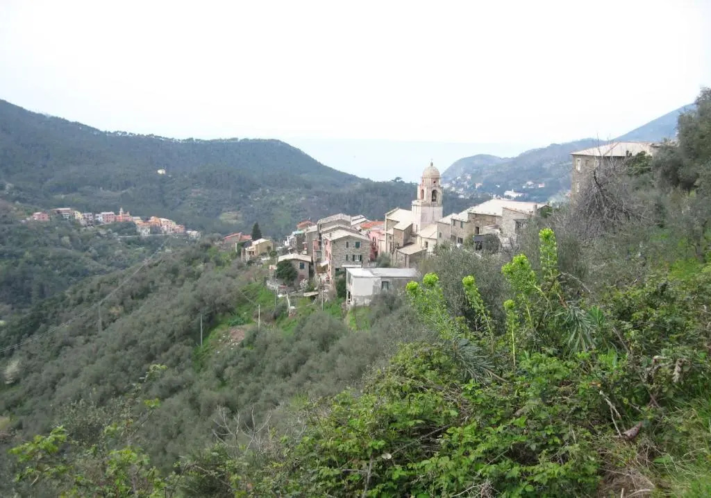 Casa Violetta