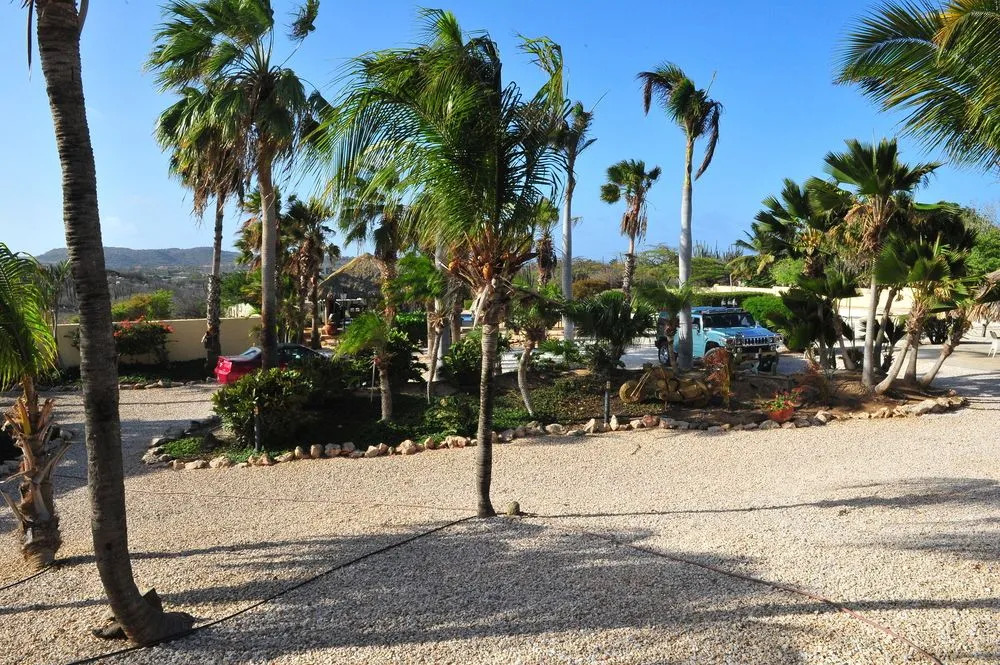 Paradise Apartments
