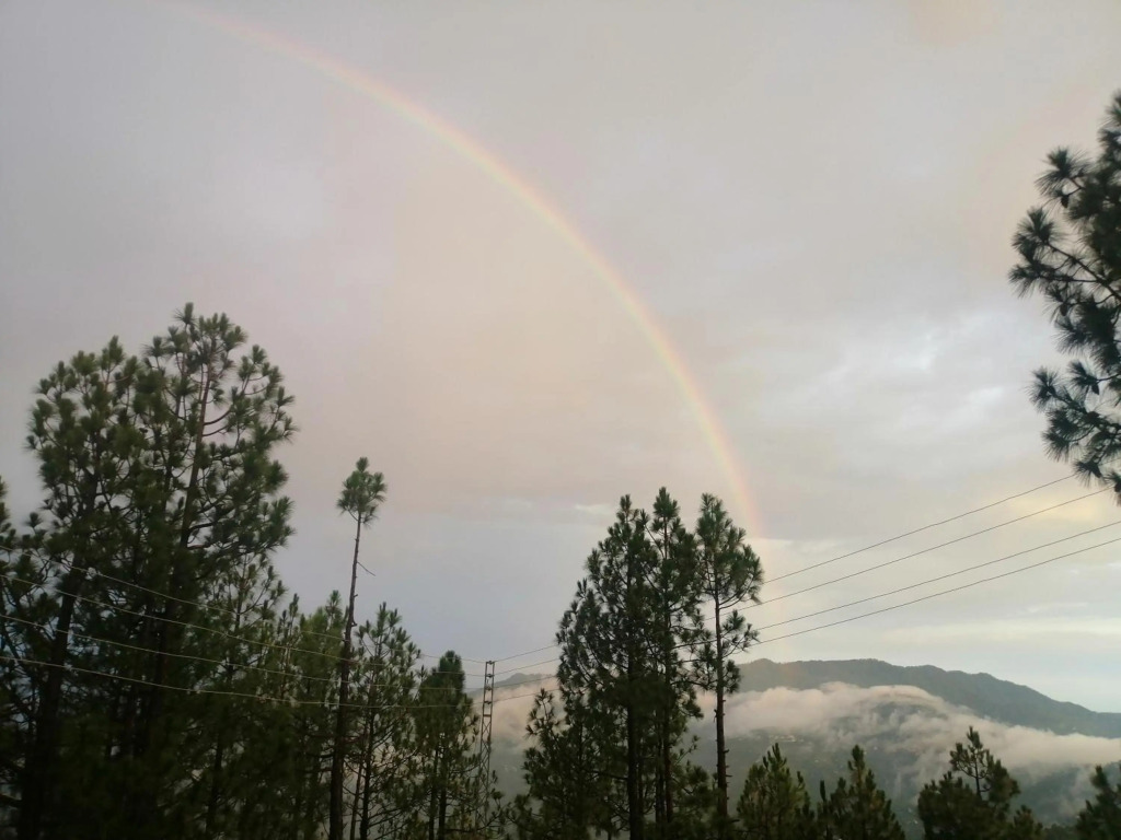 Murree home Gharial camp