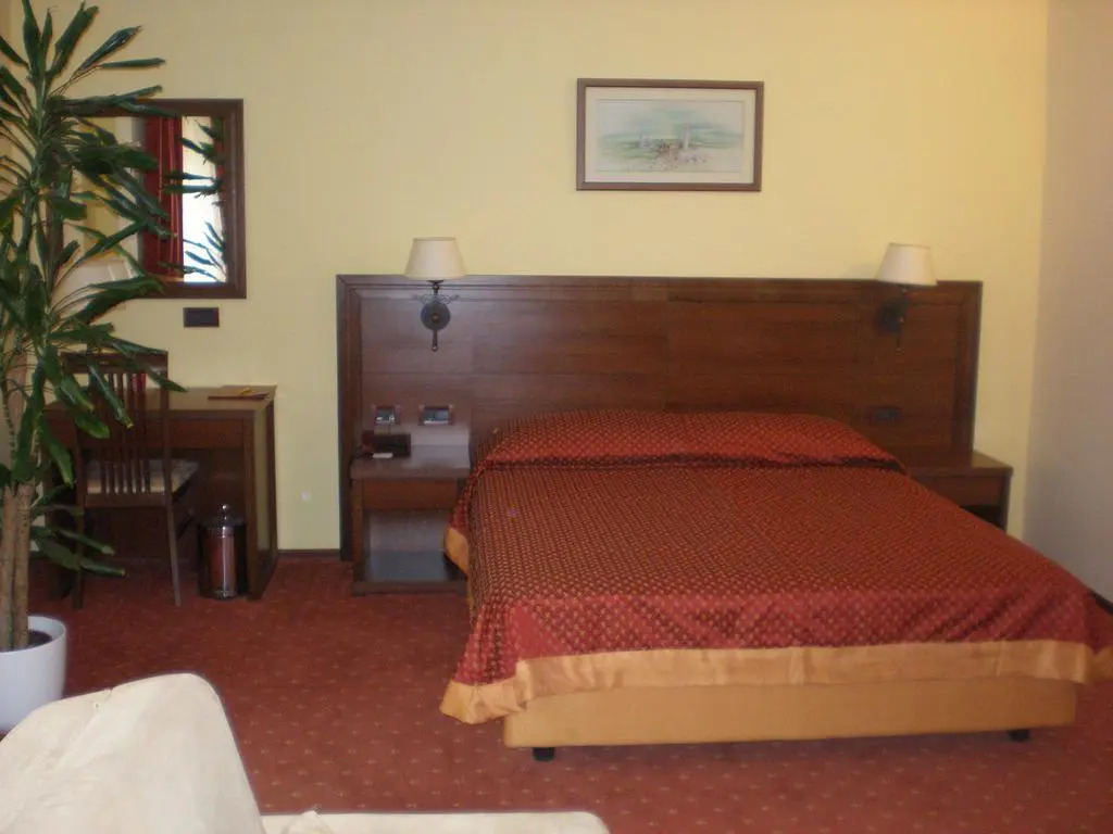 Hotel Picok