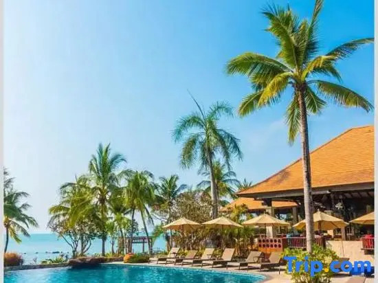 Sanya Saturday diary tour rental (Wuzhizhou Island wharf store, Queen's Bay)