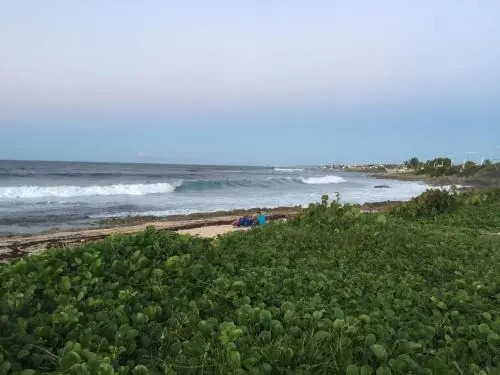101 Ocean Front