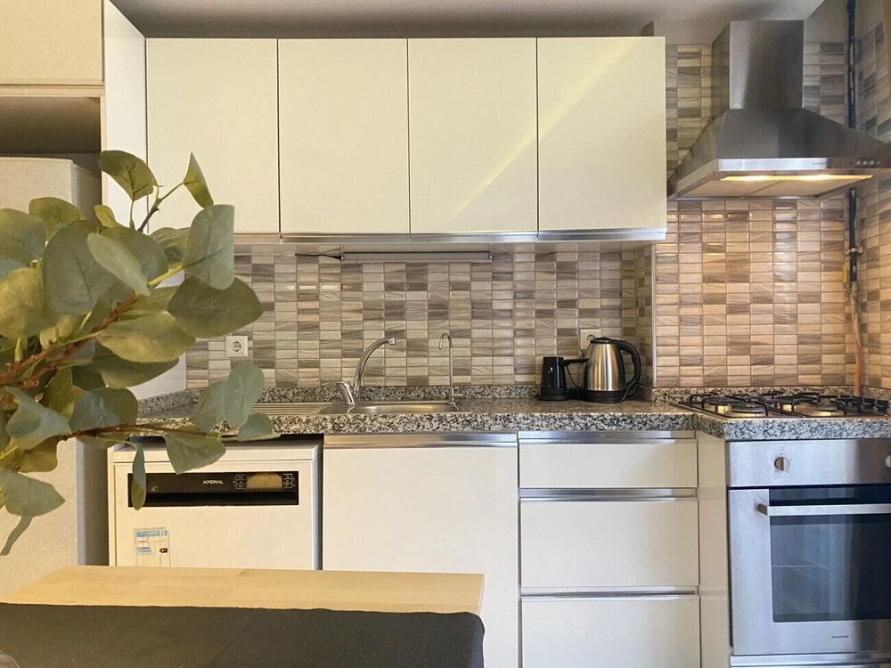 Distinguished Flat 650 m to Galata Tower