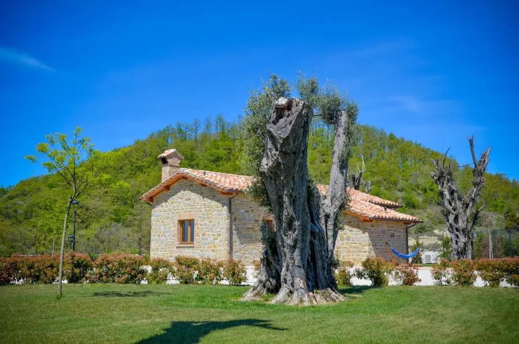 Tenuta Borgo Santa Cecilia