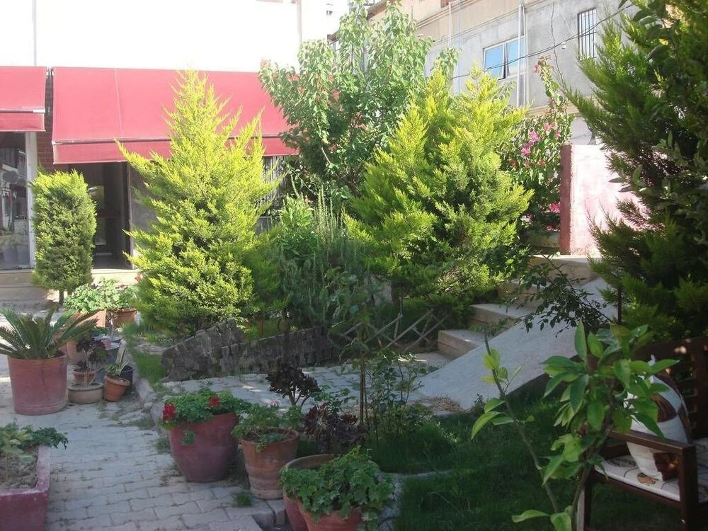 Second Spring