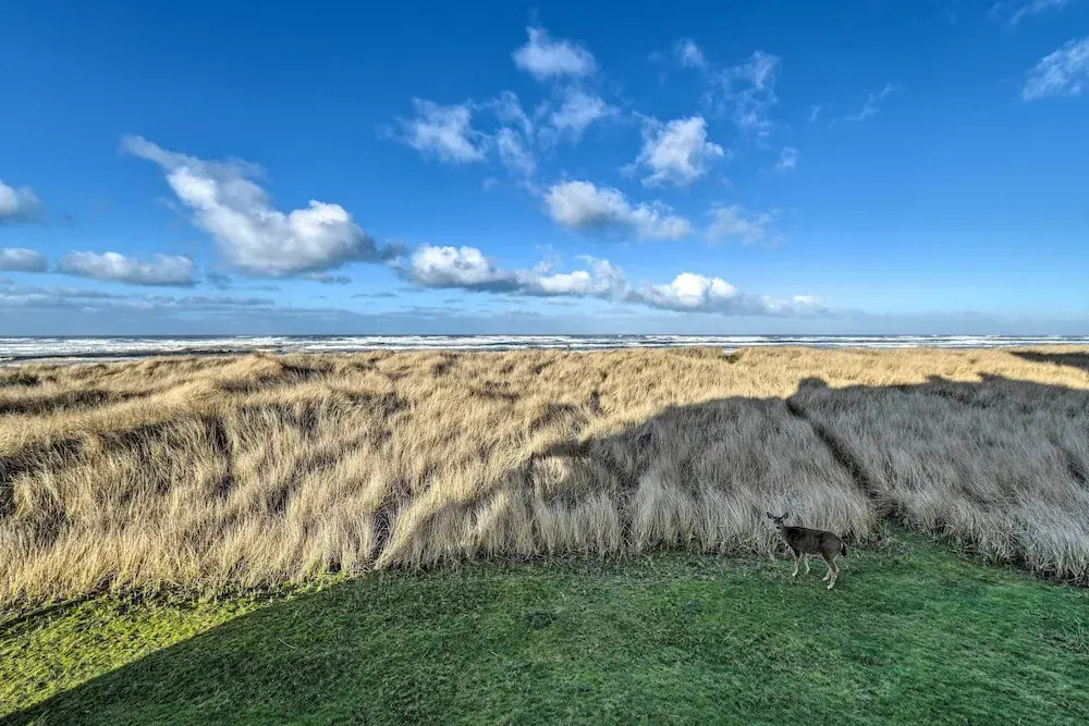 Eagles View Condo in Ocean Shores w/ 3 Balconies