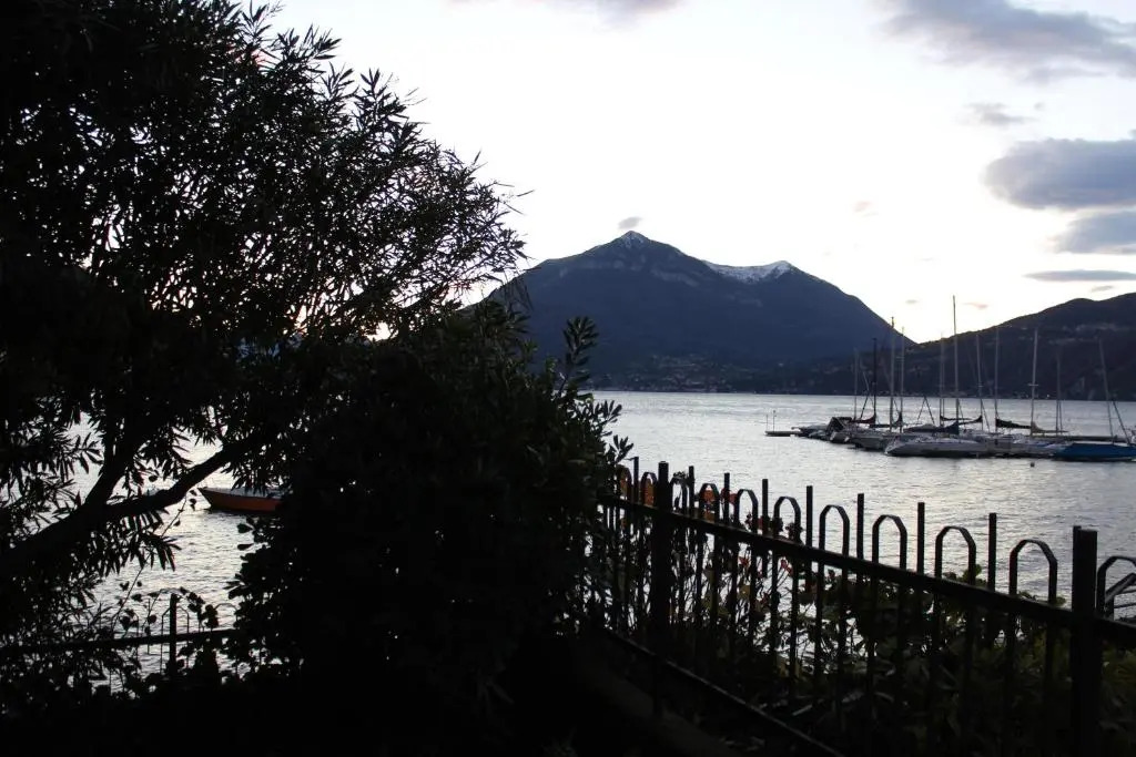 gli oleandri