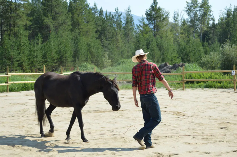 Willow Ranch