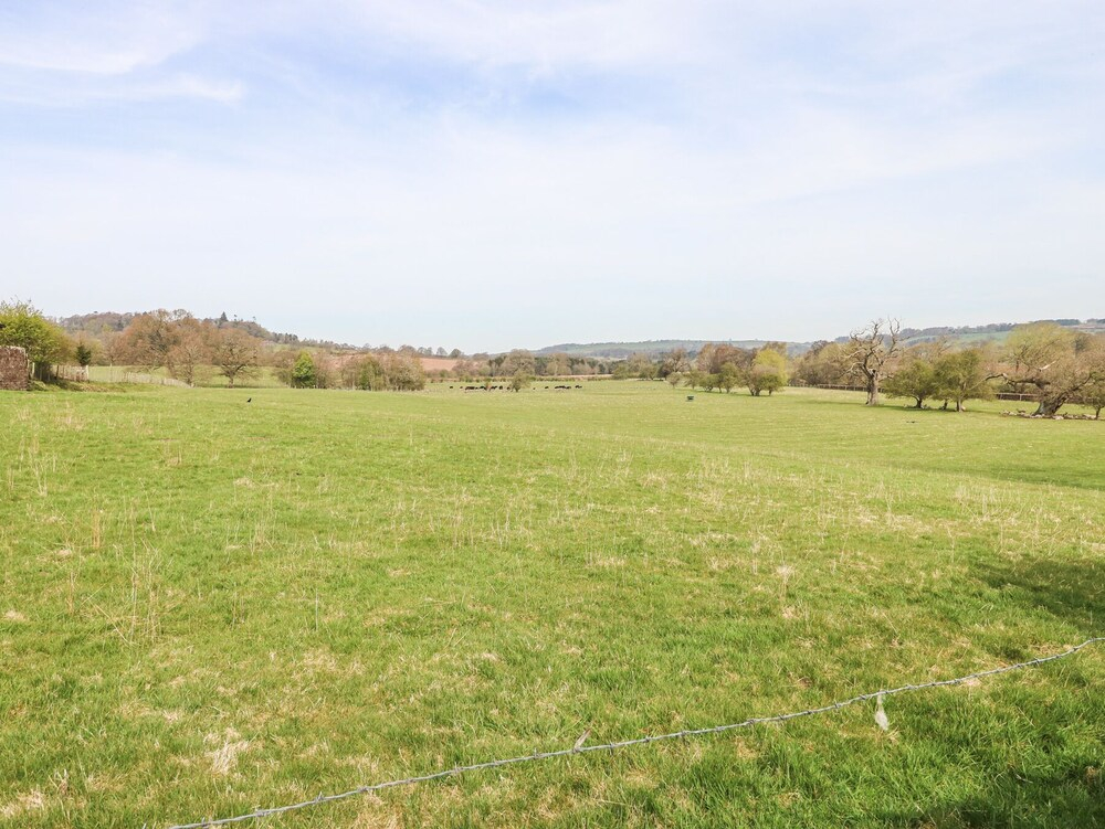 3 Eden View