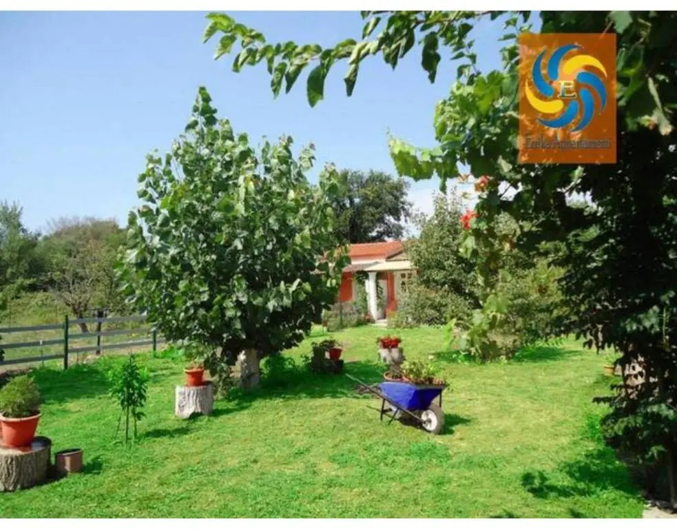 Errika House 5
