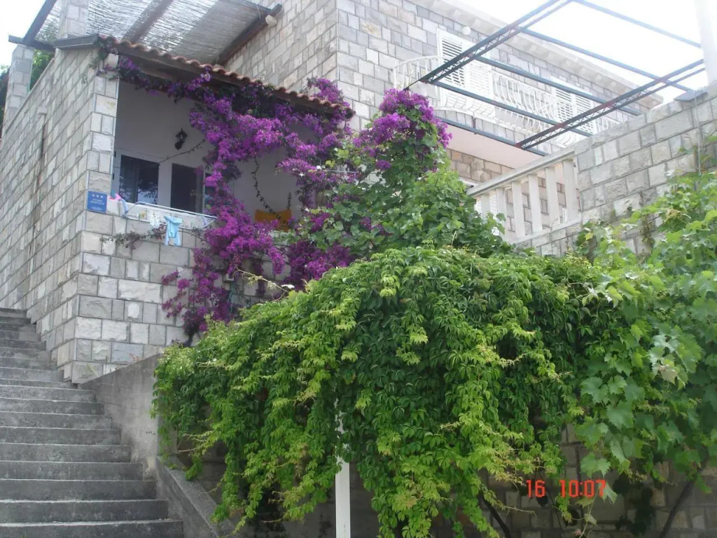 Apartments Jany