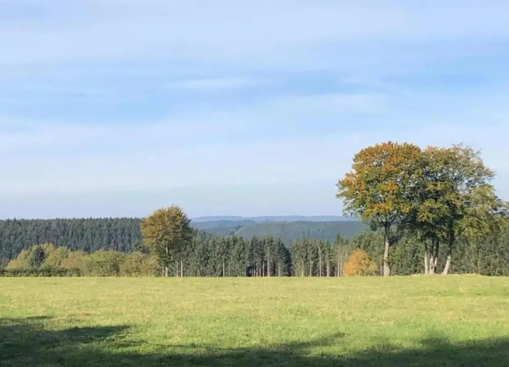 Lovely Cottage in Waimes near Lake