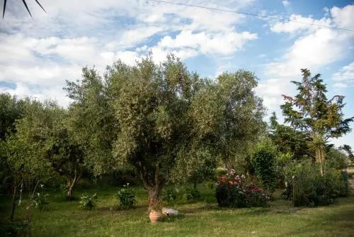 Villa Romano