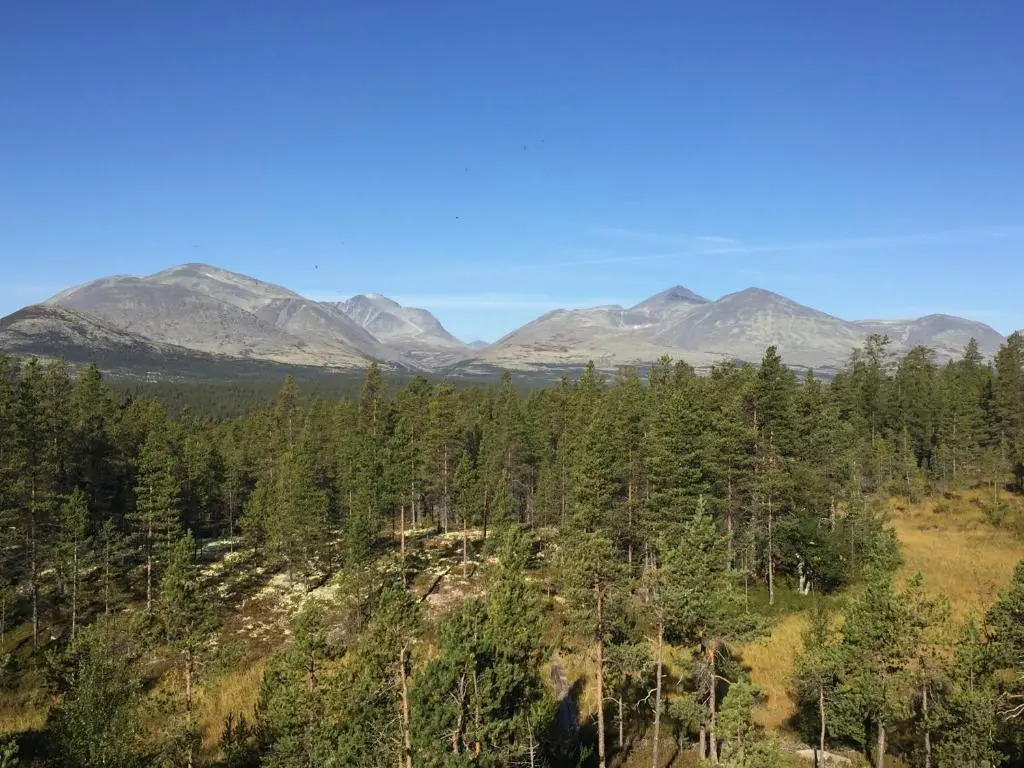 Rondane Sollia Friluftsliv Øvre Nordli