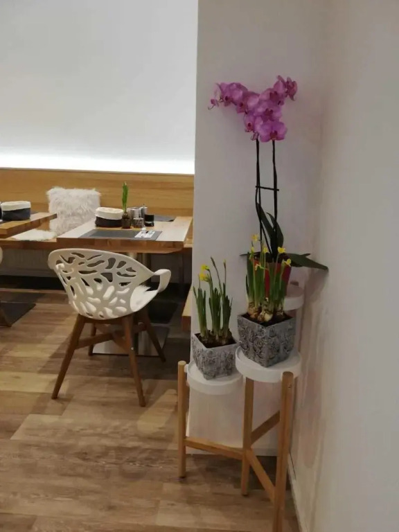 Flöckner B&B