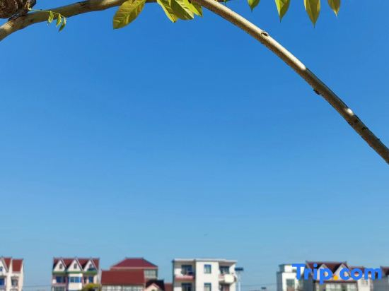 Longyuan Shinan 530 Rural Homestay