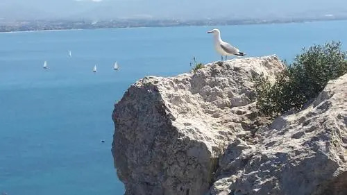 Ilm Cagliari