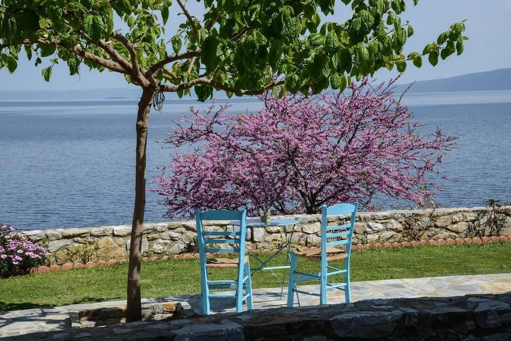 Ira Charming apt with stunning view