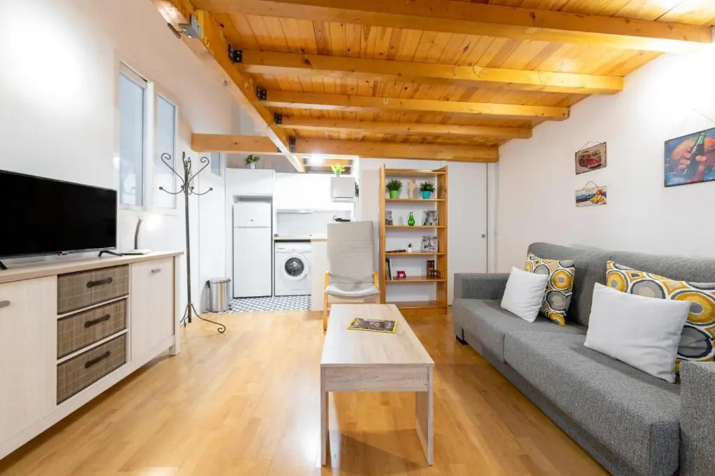 Duplex Lavapies 1BD