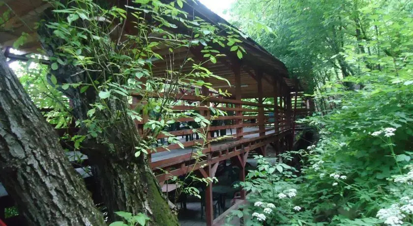Pensiunea Ceahlau Bicaz