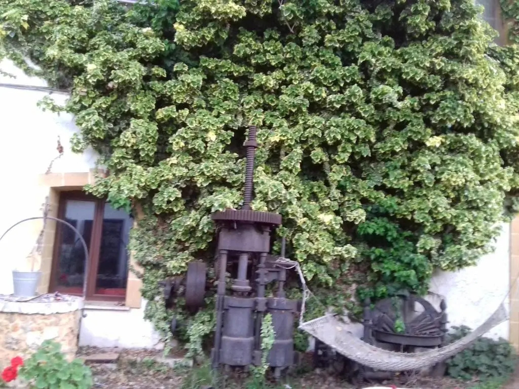 Mulino Bonacasa