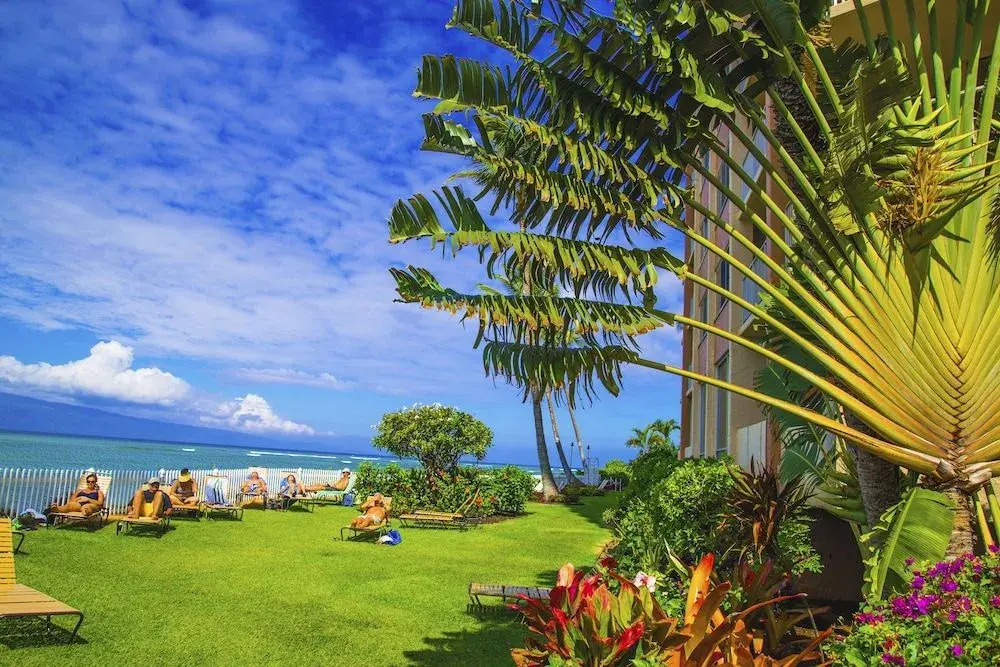 Royal Kahana