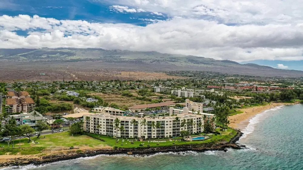 Royal Mauian 503