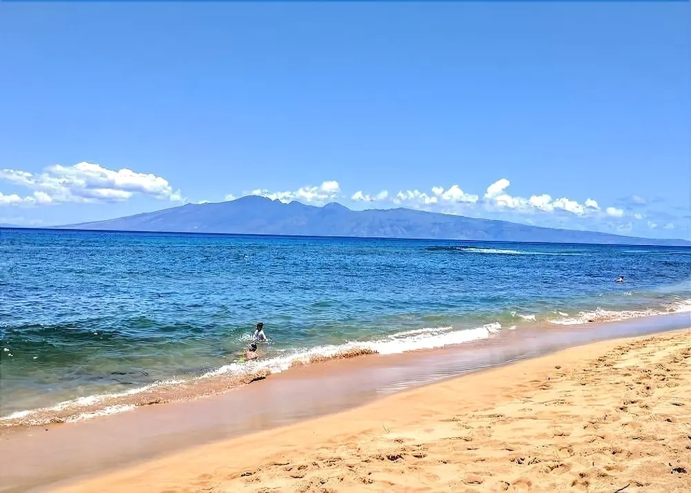 Maui Westside Properties - Ground Floor 1 Bedroom Condo