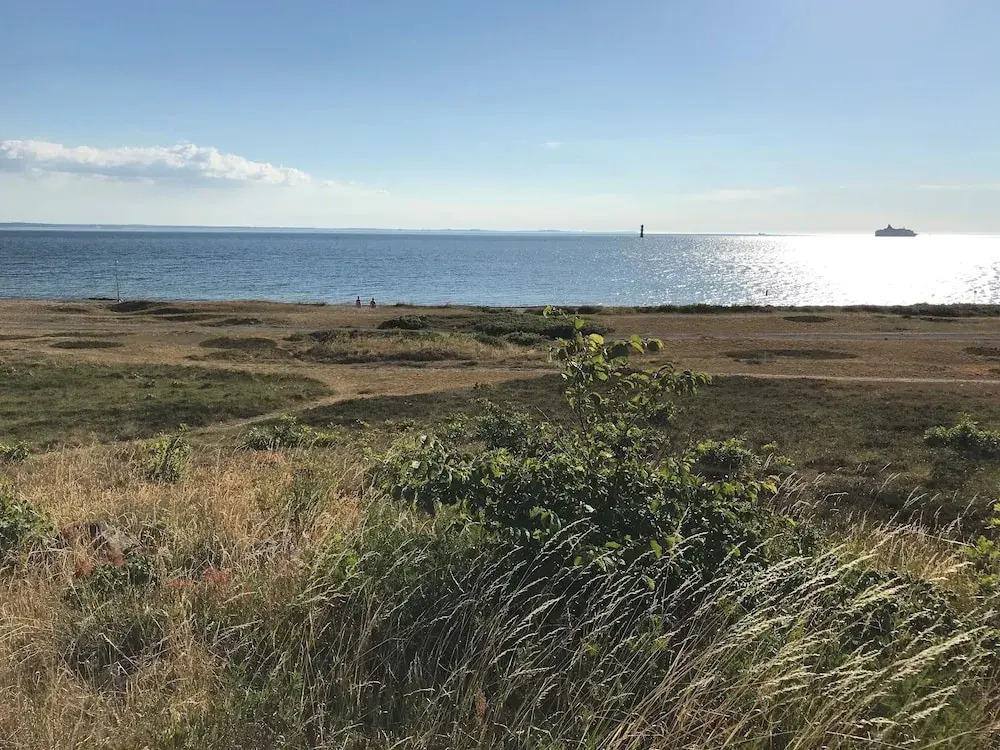 Beach Camp