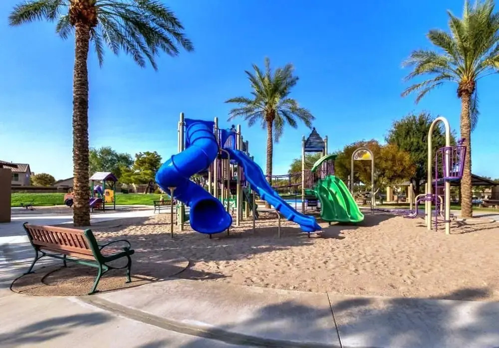 Palmen Maricopa