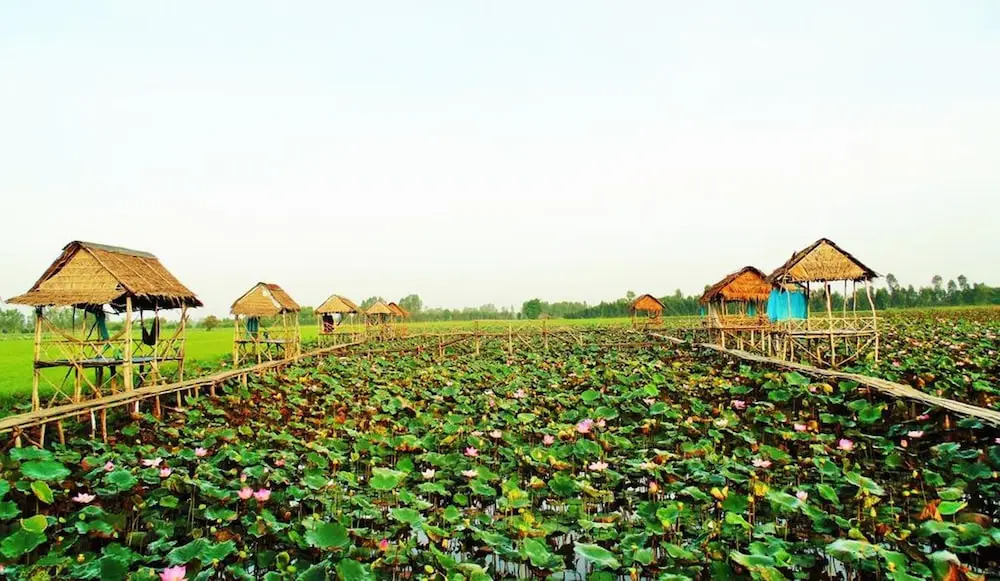 Hai Lua Homestay (Lotus Lake Homestay)