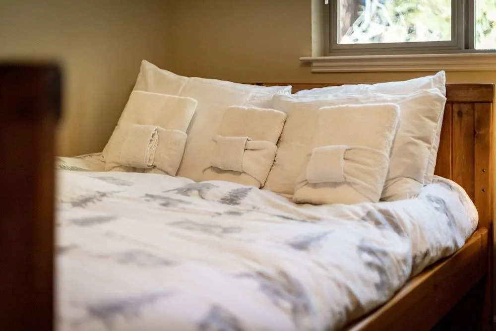 Heavenly Mountain Chalet - Skiing, Pets, Hot tub