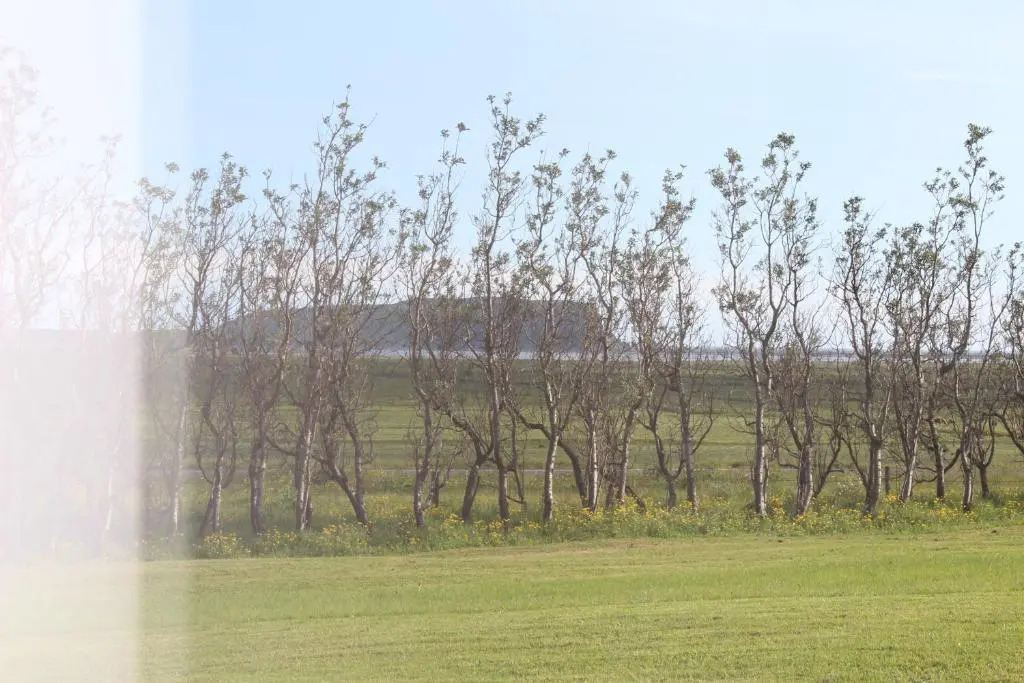 Skammidalur Guesthouse
