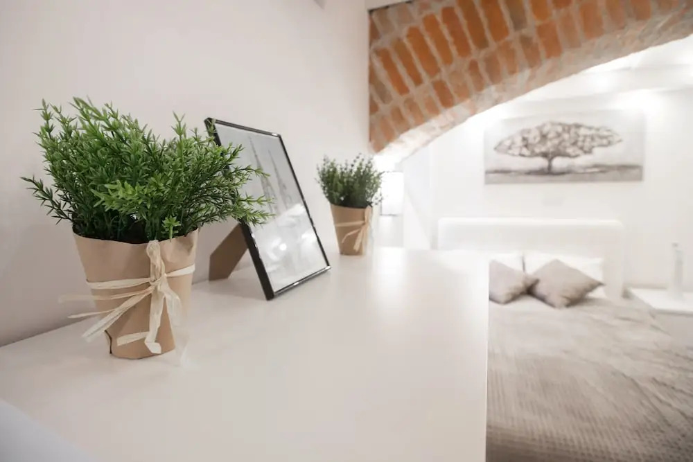 Studio Apartment La Bodega