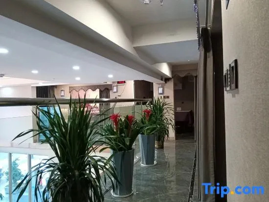 Overseas Chinese Ted Hotel