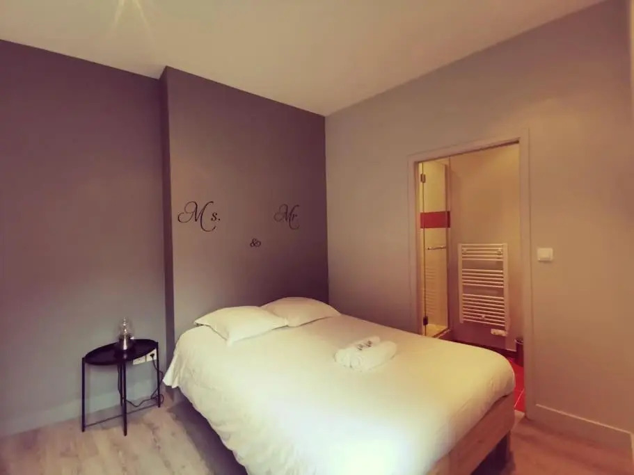 Vienne: appartement au cœur du centre historique