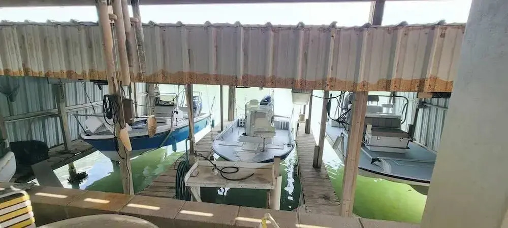 Fish Crazy House
