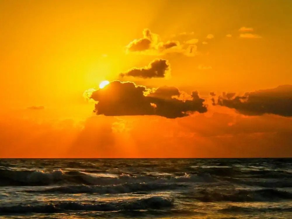 Ocean Walk 2430