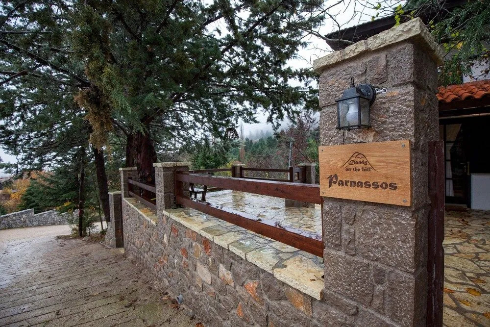Dandy Villas Agoriani - Chalet Erato - Fireplace