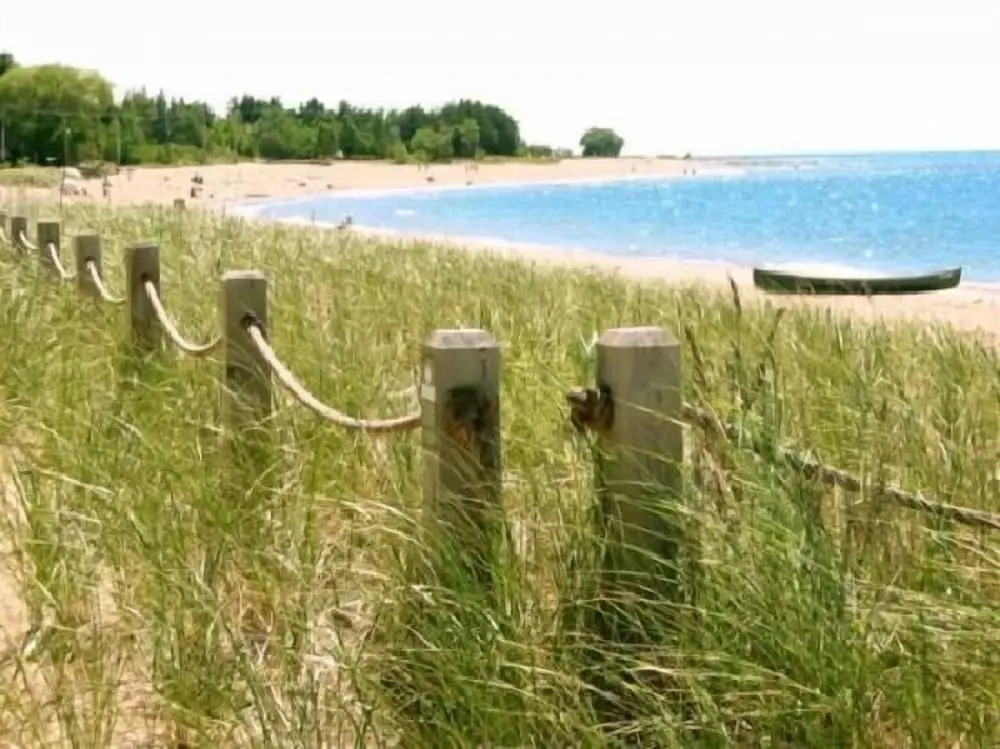 Driftwood Haus