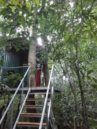 The Green Tree Lodge