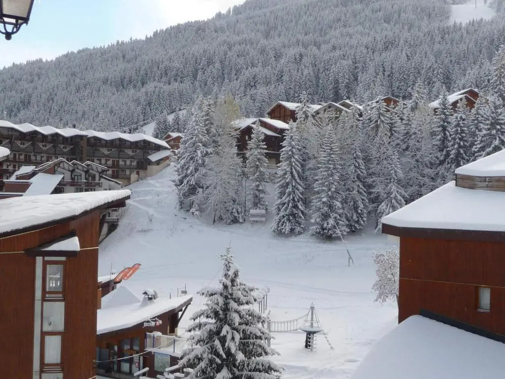 Chalet mitoyen traditionnel 12 personnes avec WiFi à La Tania - FR-1-513-61