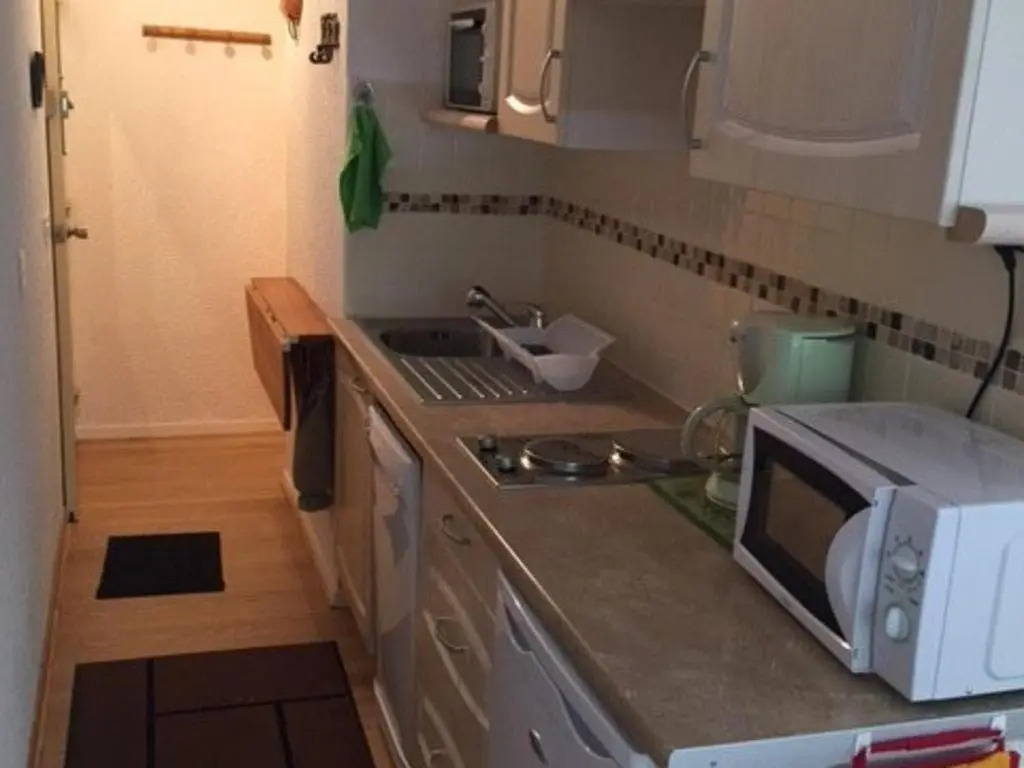 Appartement Enchastrayes, 1 pièce, 4 personnes - FR-1-165A-31