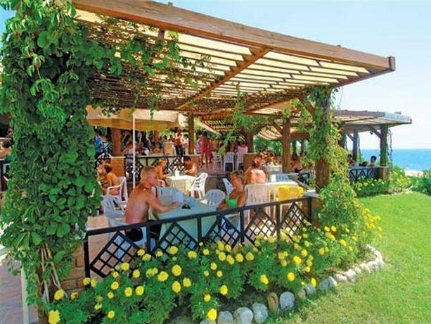 Otium Family Stone Pala
