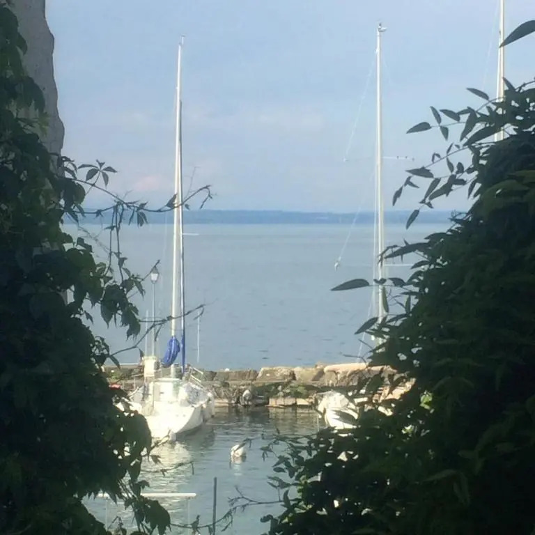 L'Alcôve d'Amédée V